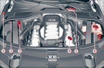 Typical locations of fluid containers and engine oil filler cap